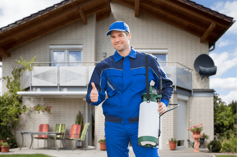 Local pest control deals companies