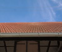 pests cause gutter problems