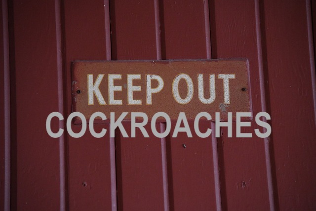 keep out cockroaches