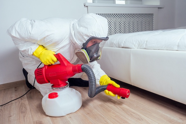pest control company