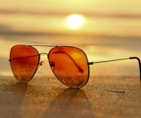 flea season in surrey